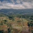 aerial view of field during cloudy day