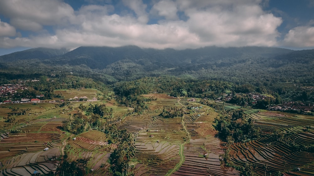 aerial view of field during cloudy day