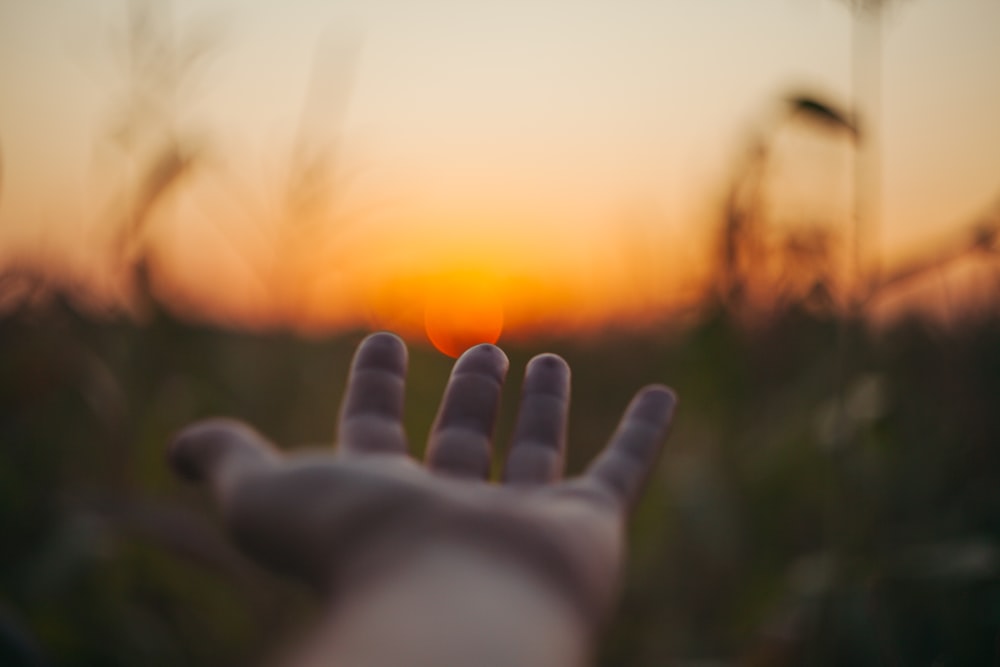 foto de foco seletivo de pessoa colocando a mão sobre o pôr do sol