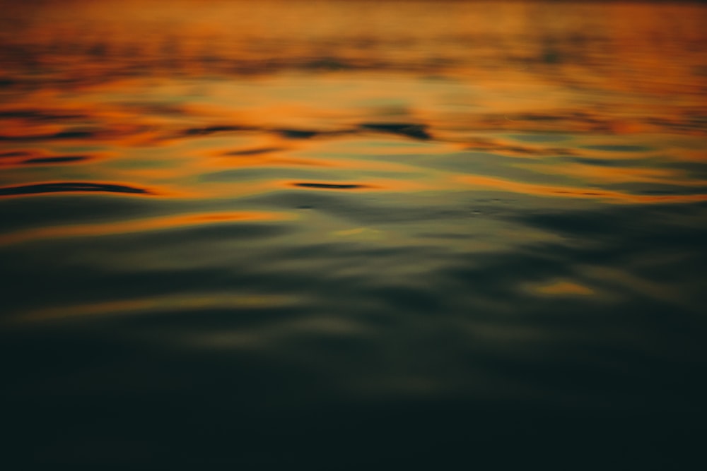 body of water macro photography