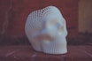 white human skull 3D artwork