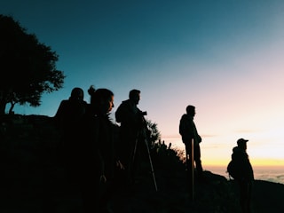 A group of people planting native trees on a hillside at sunset.
