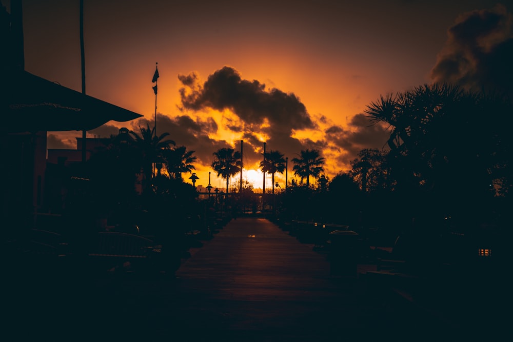 Silhueta da fotografia da doca de madeira durante a hora dourada