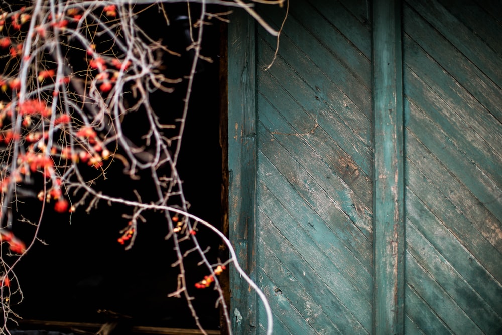 closeup photo of green wooden door