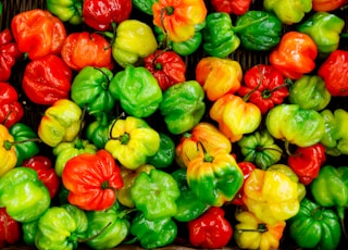 bunch of bell peppers
