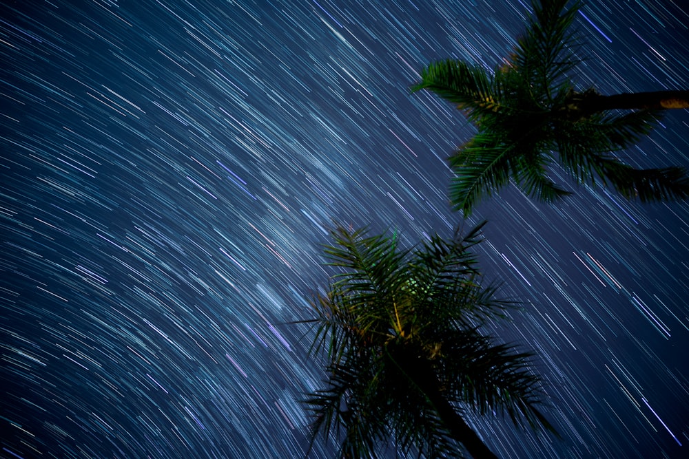 time-lapse photography of meteor shower