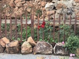 A rustic wooden fence surrounding a vibrant flower bed.