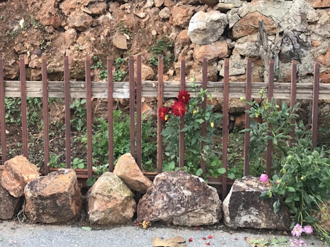 A rustic wooden fence surrounding a vibrant flower bed.