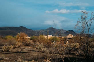 A close-up of a notary stamp on official paperwork with a desert landscape in the background.