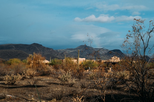 A close-up of a notary stamp on official paperwork with a desert landscape in the background.