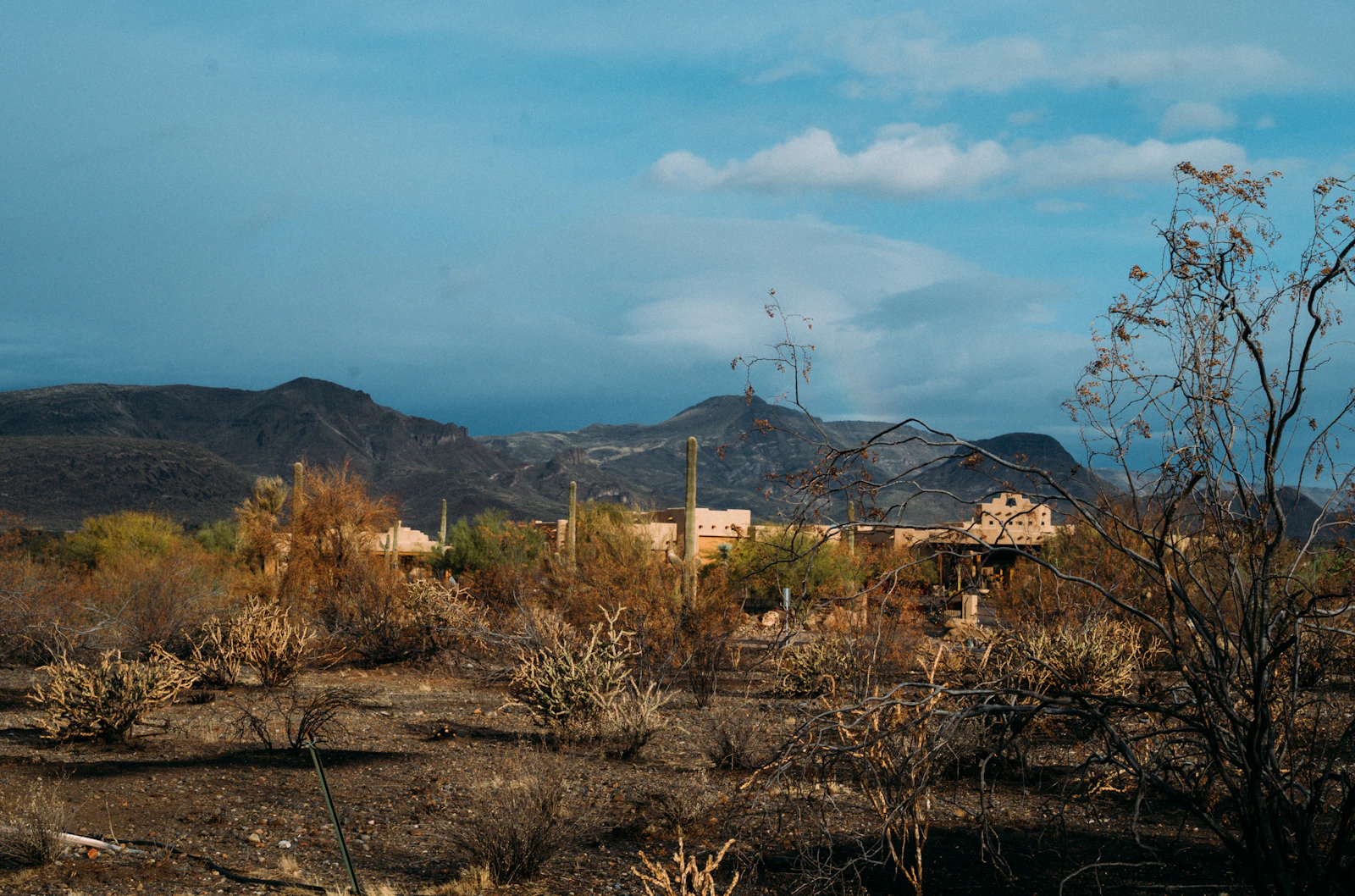 Imagen editorial de Tucson, Arizona para USA.viajes