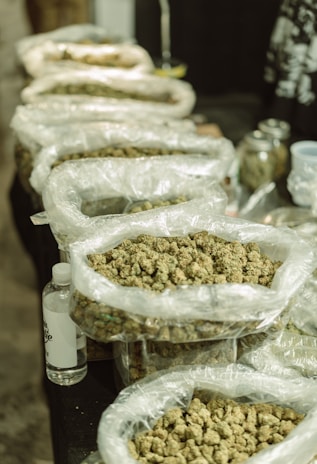 Several large plastic bags filled with what appears to be buds, possibly of a plant or herb, are arranged on a table. Next to the bags, there is a transparent bottle with a label, and in the background, glass jars and other containers can be seen.