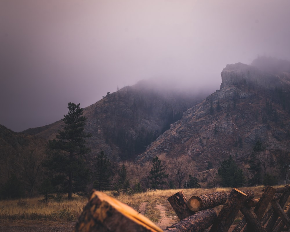 landscape photography of foggy mountain