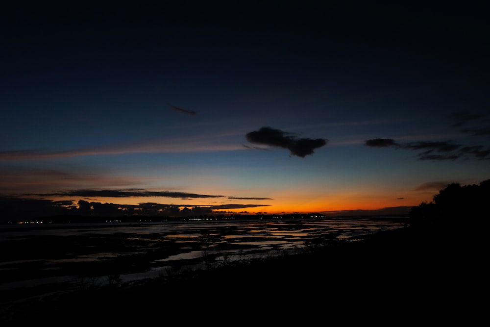 silhouette of trees during sunset