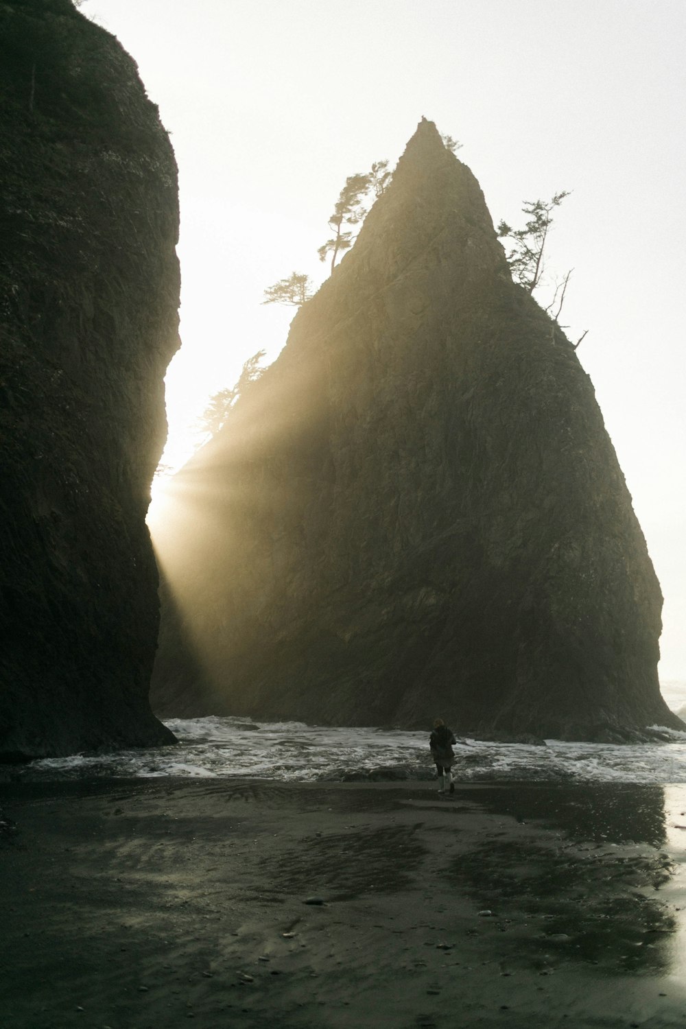 person walking on seashore near boulder