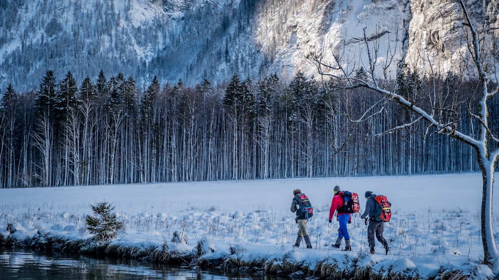 three person walking beside body of water during snow season