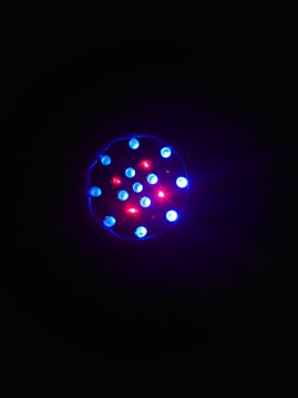 A circular arrangement of small LED lights in a dark environment, featuring an interspersed pattern of blue and red lights. The lights appear to be glowing brightly against a black background.