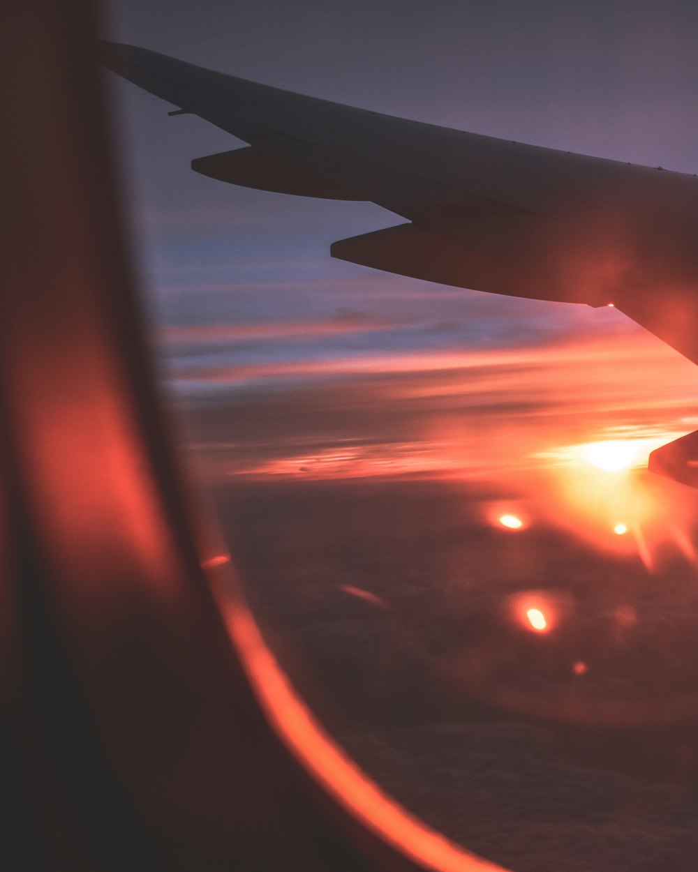 plane flies during golden hour