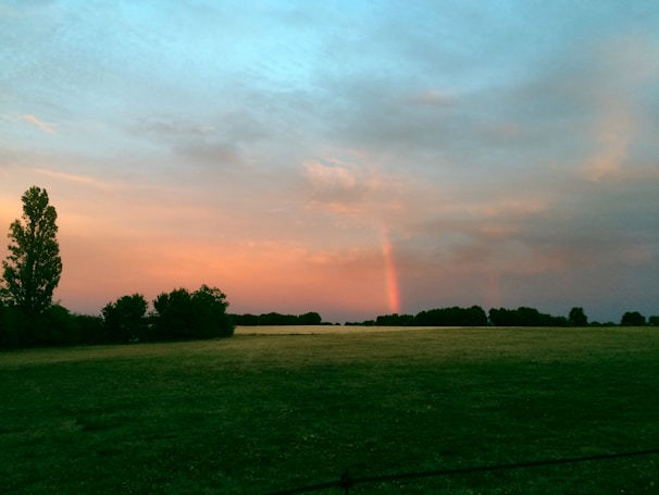 A serene binaural stereo field landscape with calming colors.