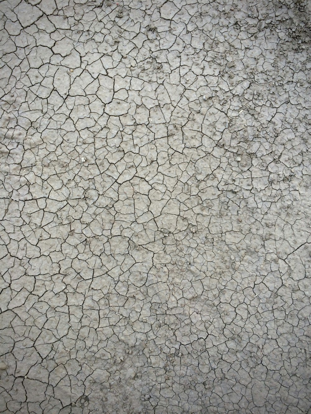 乾燥した土壌の高角度写真