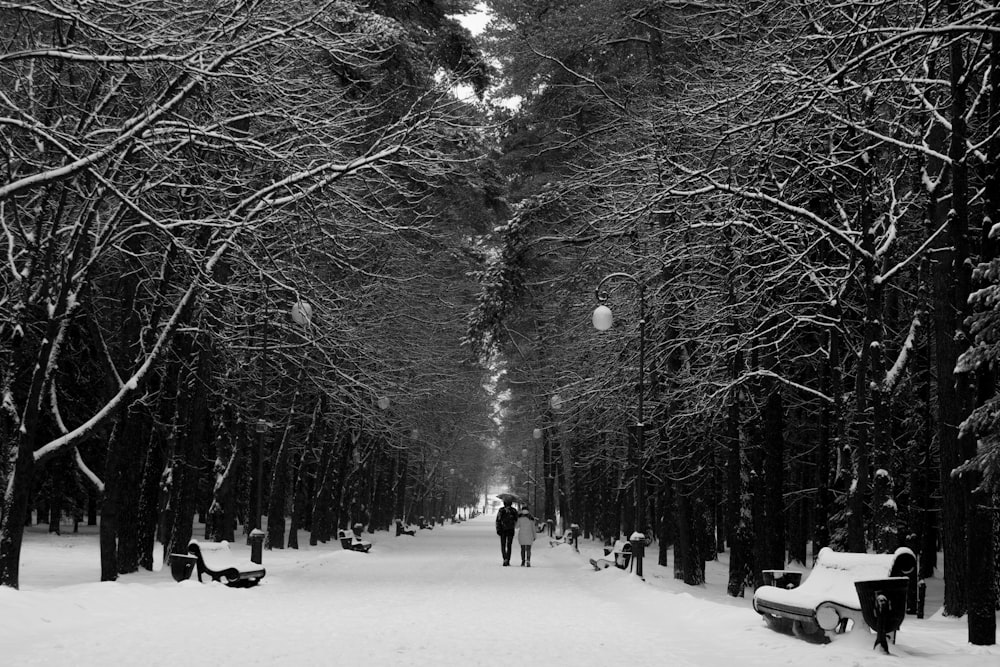 couple walking on snow covered road