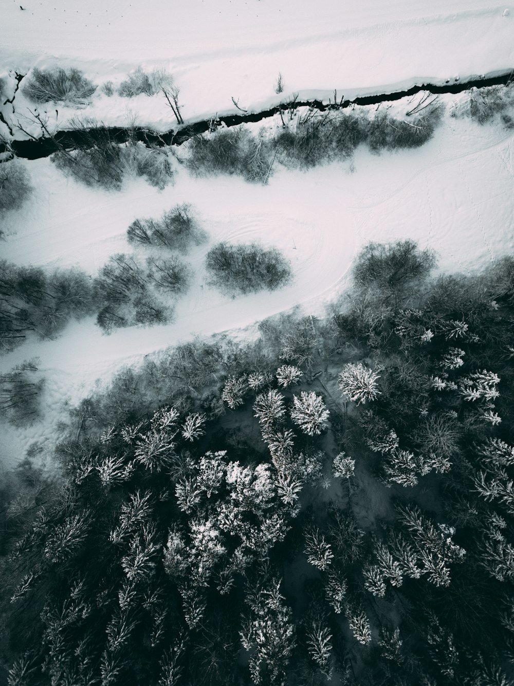 雪に覆われた木々の航空写真