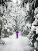person standing on snow covered land