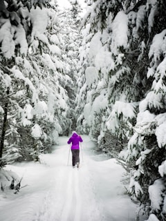 person standing on snow covered land