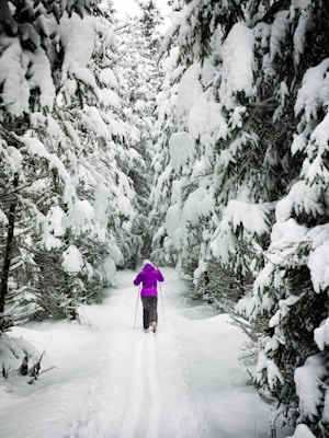 person standing on snow covered land