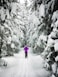 person standing on snow covered land