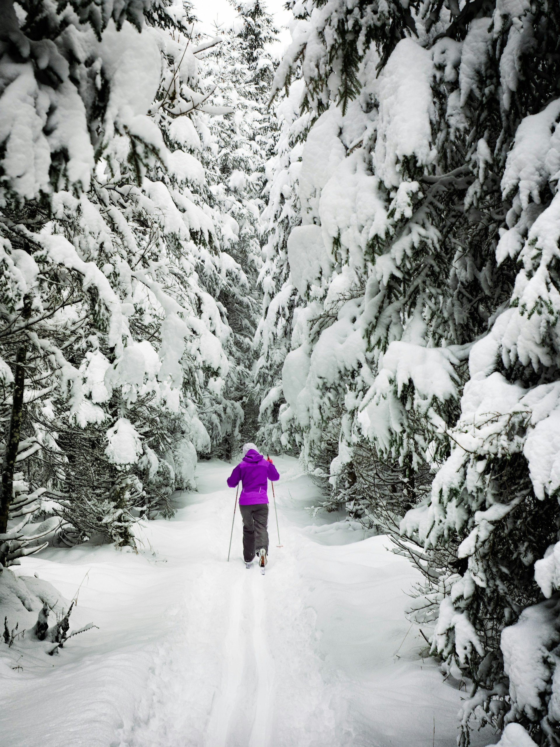 person standing on snow covered land