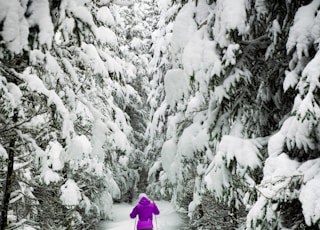 person standing on snow covered land