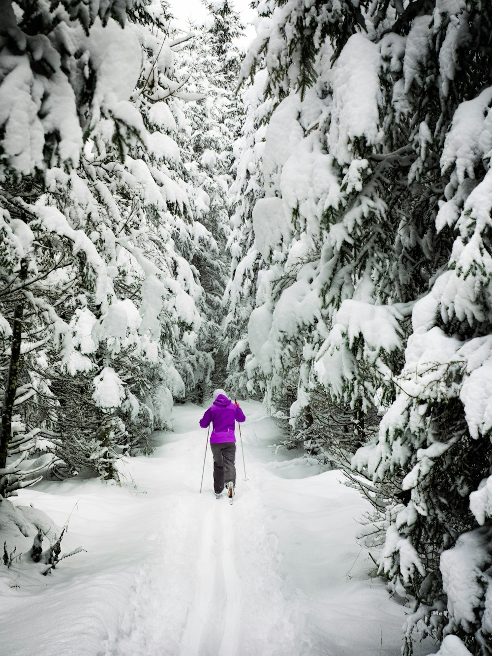 person standing on snow covered land