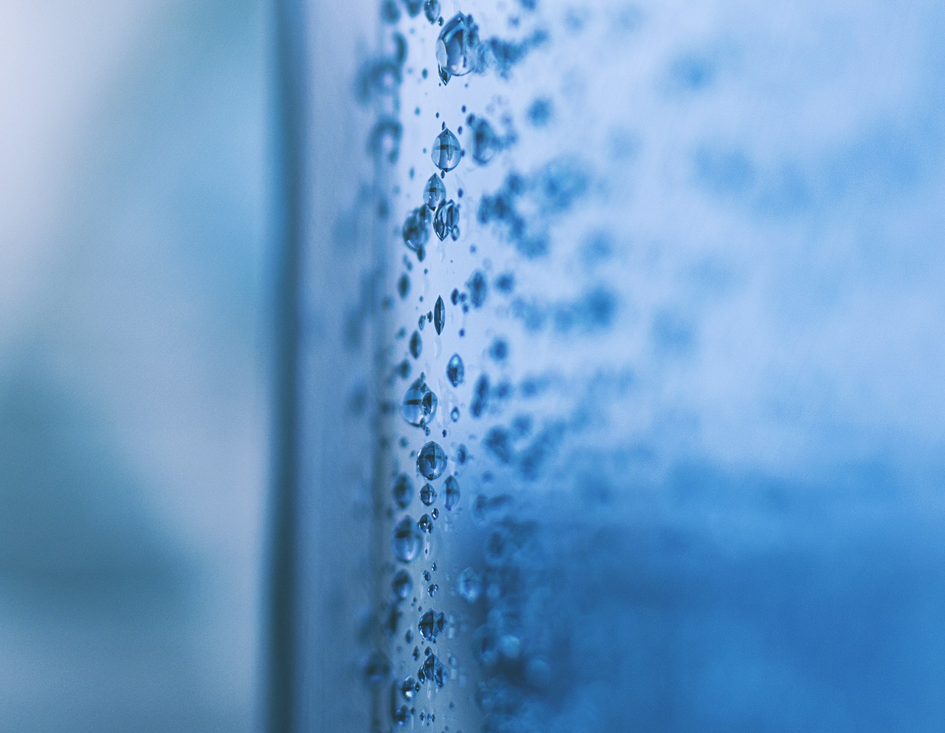 macro photography of water dew