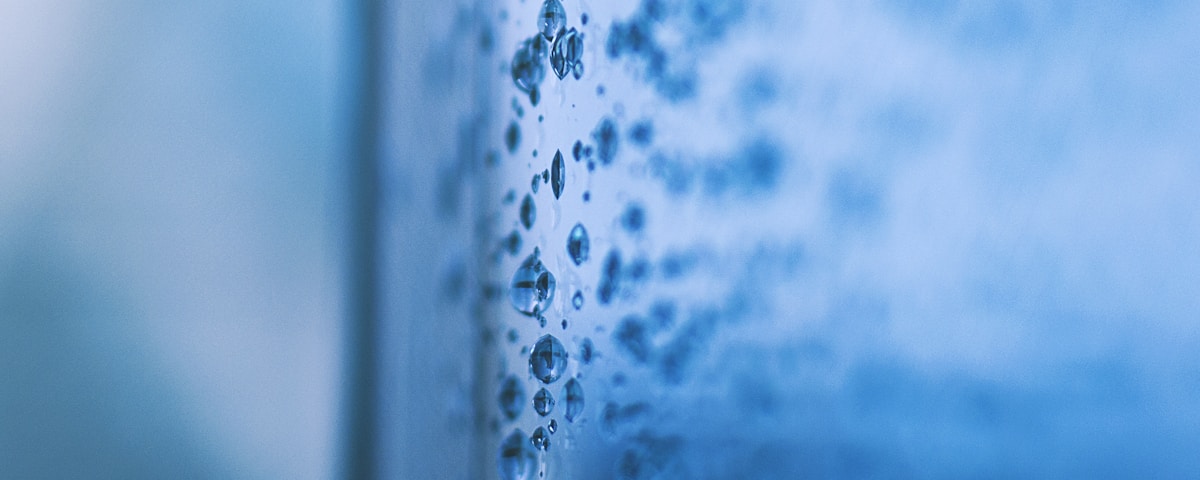 macro photography of water dew