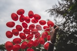 Zach happily holding a big, bright balloon shaped like a heart, with gentle forest background.