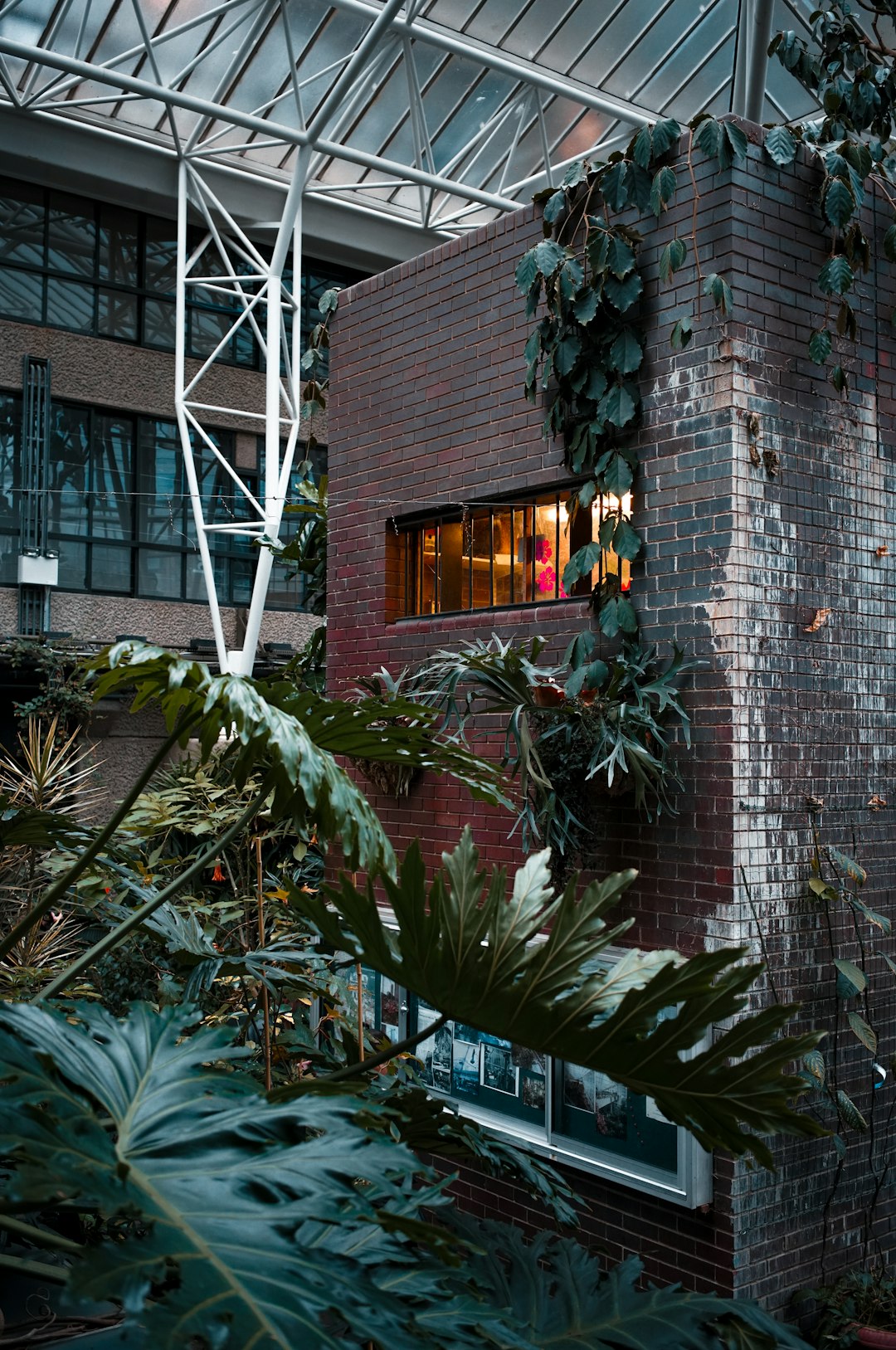 Jungle photo spot Barbican Centre Richmond