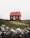 red and white house surround green grass field