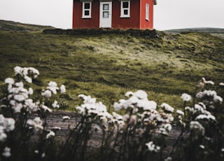 red and white house surround green grass field