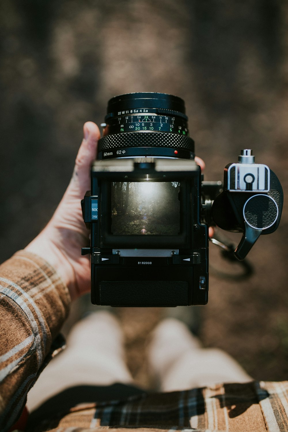 photo of forest through DSLR camera