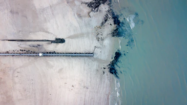 aerial shot of seashore