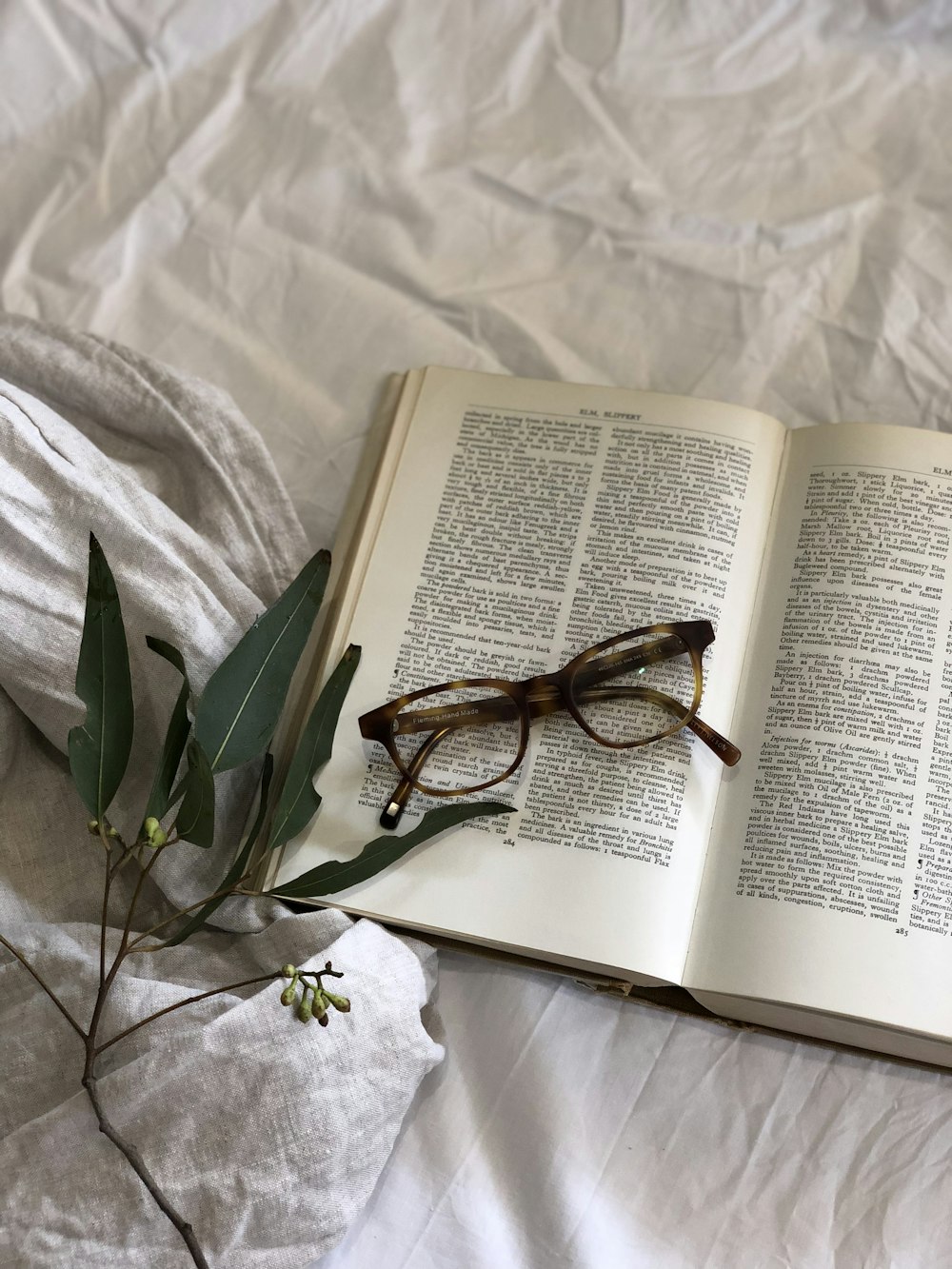 occhiali in cima alla pagina del libro accanto alla pianta a foglia verde