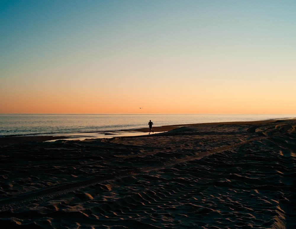 person on seashore during golden hour