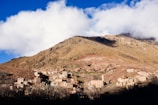 Traditional Berber village houses nestled among olive trees under a clear blue sky.