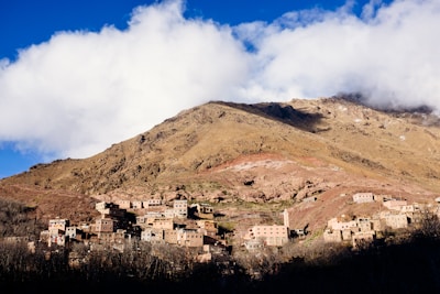 Traditional Berber village houses nestled among olive trees under a clear blue sky.
