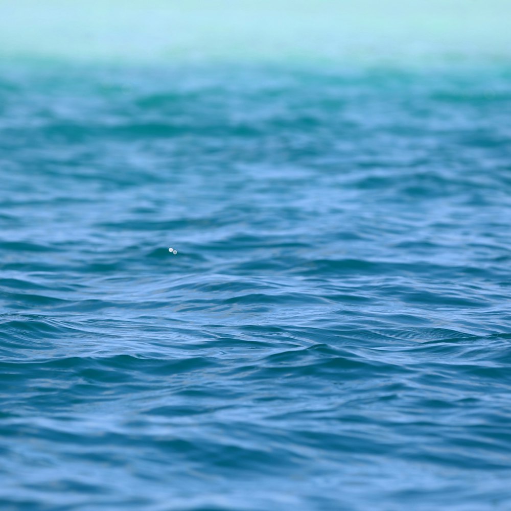 Photo de plan d’eau turquoise