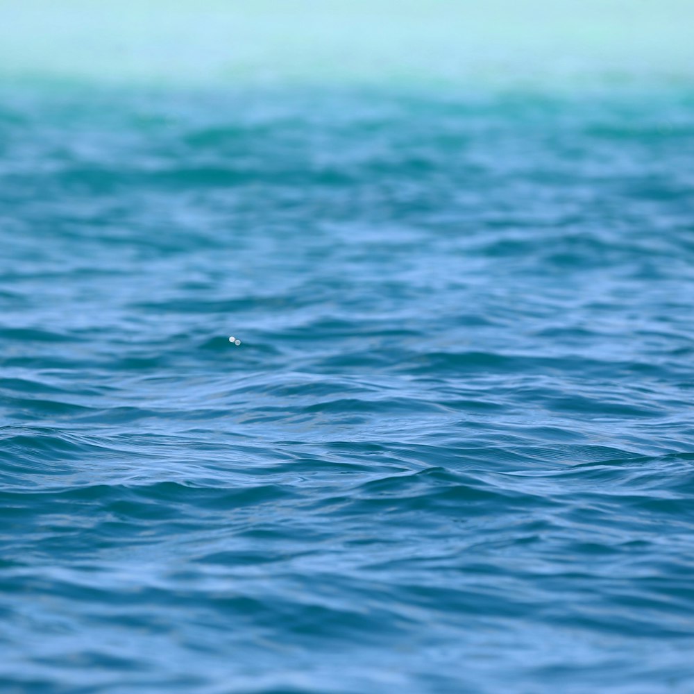 photo of teal body of water