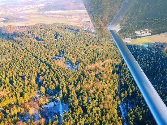 high-angle photo of green trees in Thuringian Forest Germany