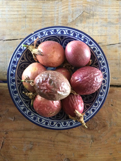 Close-up of fresh Genipa americana fruits and a bowl of natural Jagua gel on a rustic wooden table.