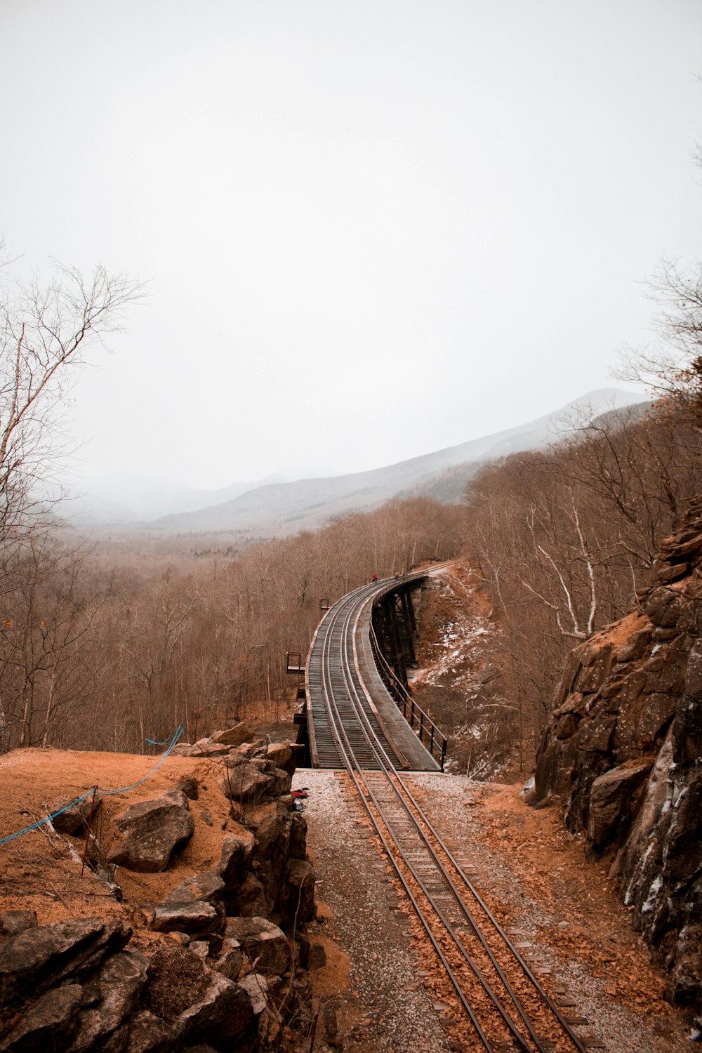 railway surrounded by bare trees during daytime